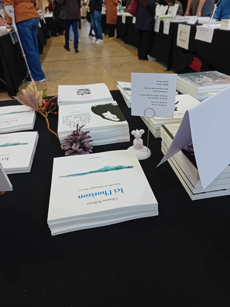 Ici l'horizon Clément Bollenot salon de L'Autre livre, La Chat polaire