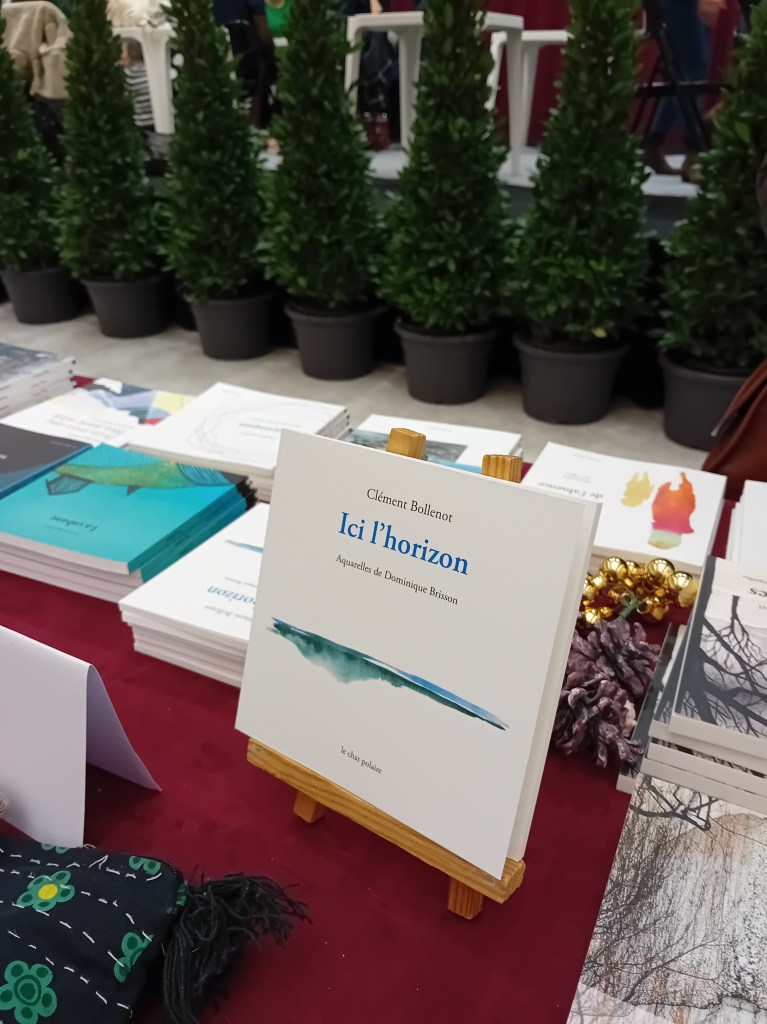Ici l'horizon Clément Bollenot Marché de la poésie Lille Le chat polaire