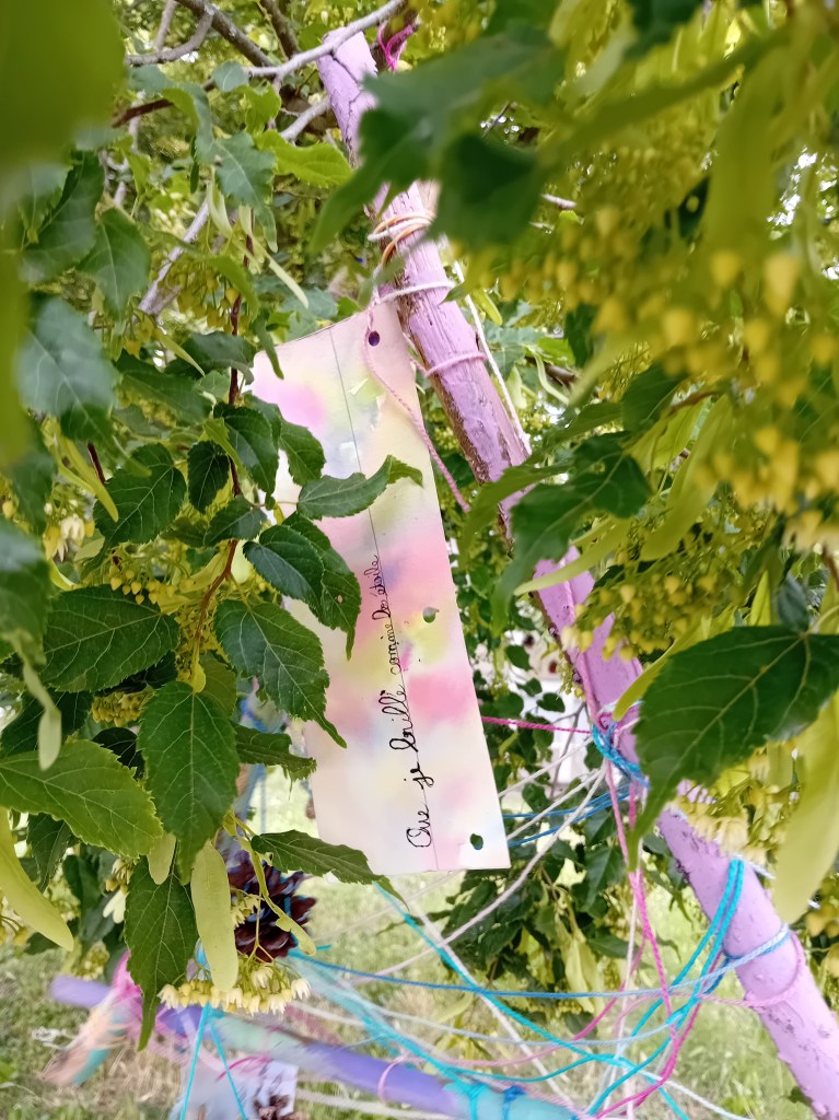 108 vœux Mélanie Leblanc, projet de poésie à l'école