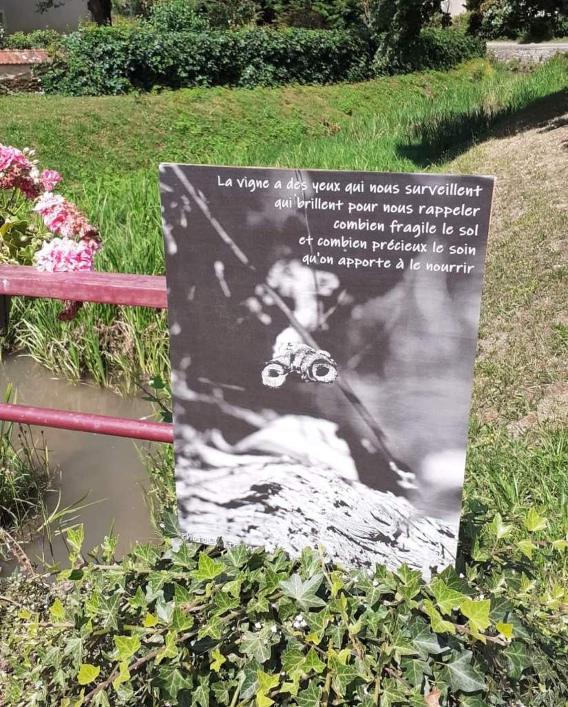 Exposition poétique Rencontres estivales de la Velouse