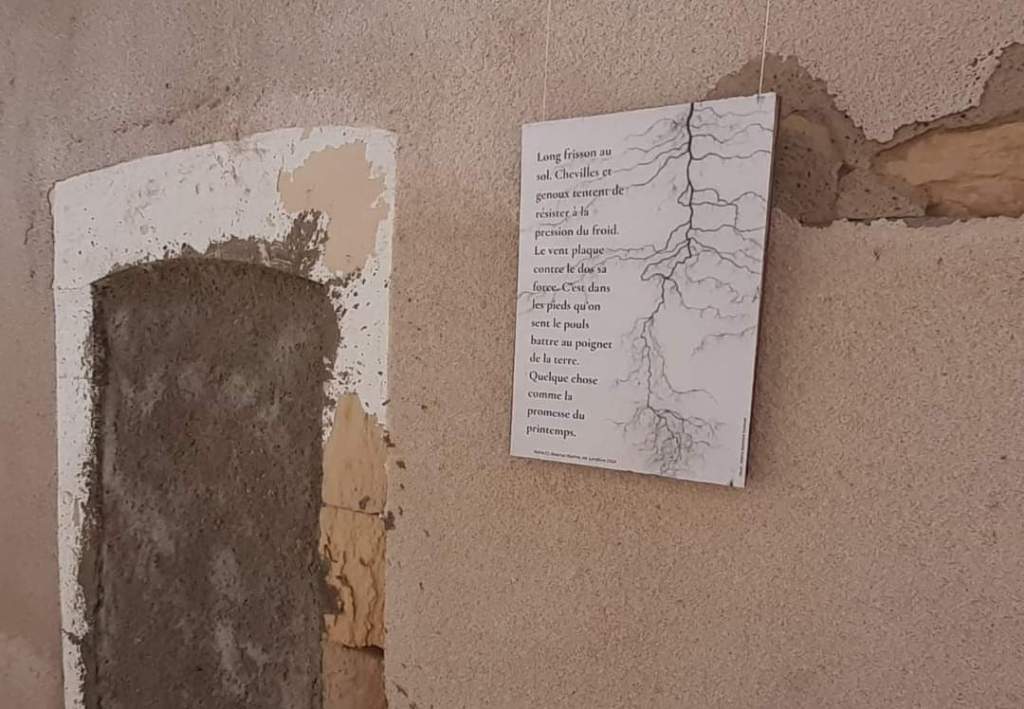 Exposition poétique Rencontres estivales de la Velouse