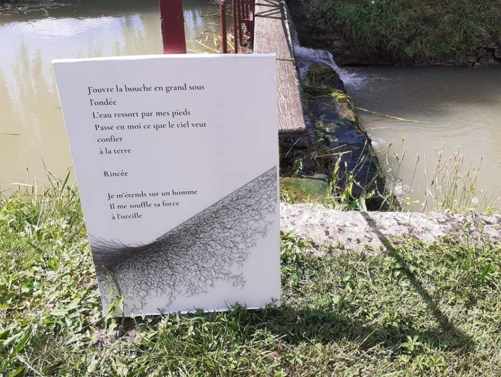Exposition poétique Rencontres estivales de la Velouse
