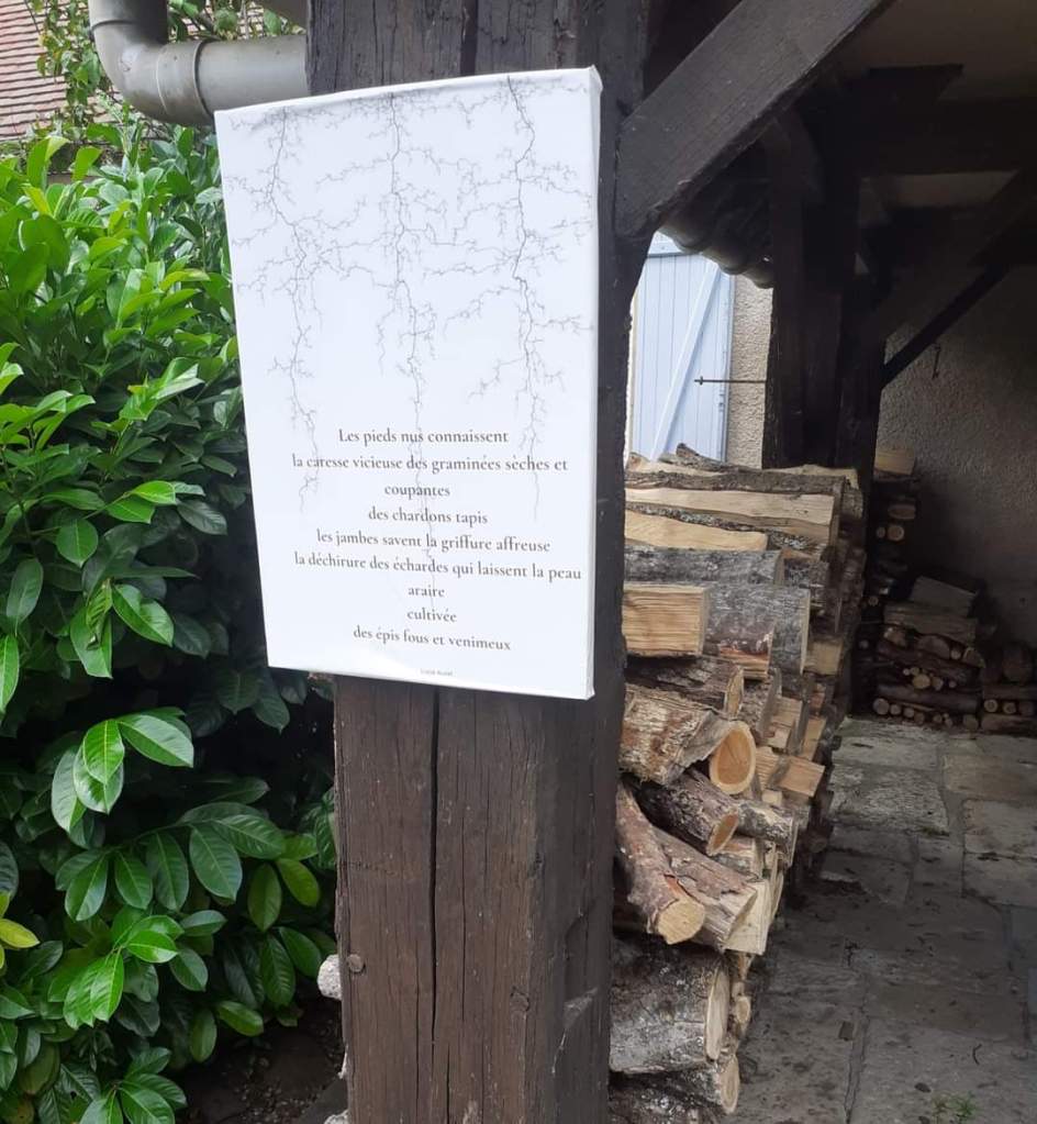 Exposition poétique Rencontres estivales de la Velouse