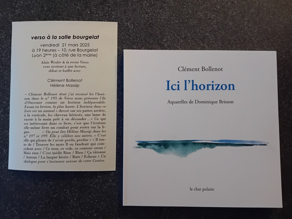 Lecture Verso Lyon Clément Bollenot ici l'horizon le chat polaire
