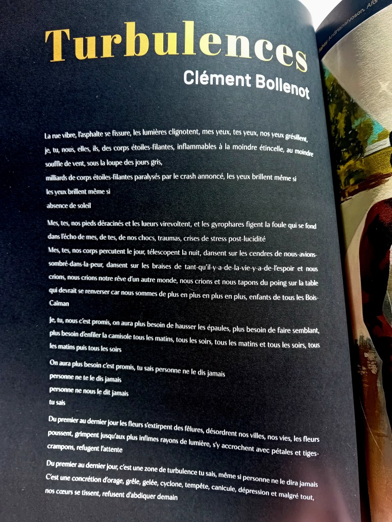 Clément Bollenot DO.KRE.I.S #7 Turbulence(s) / Dezòd