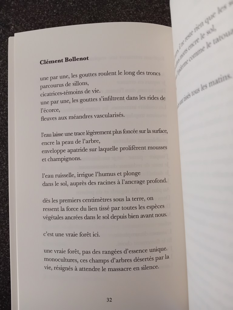 Aencrage, recueil collectif éditions les Souffleurs de Vers, Clément Bollenot
