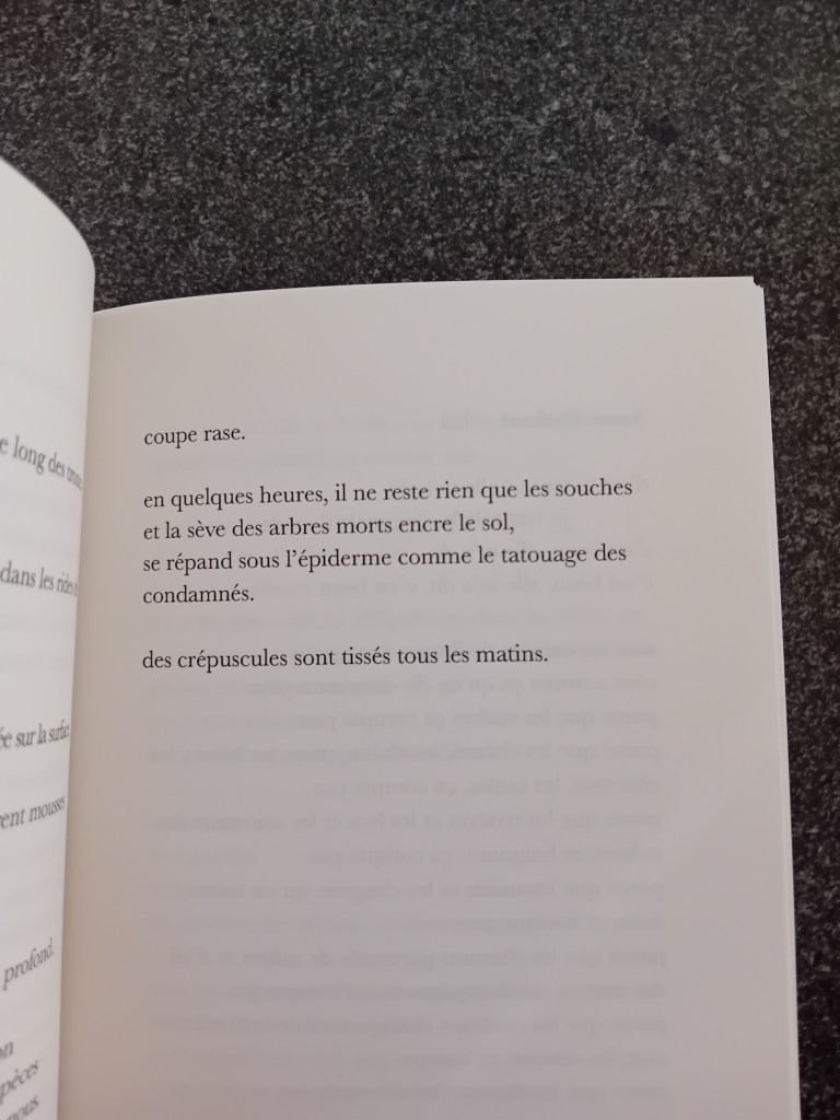 Aencrage, recueil collectif éditions les Souffleurs de Vers, Clément Bollenot