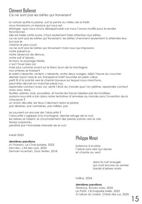 Vert combat numéro 3 Clément Bollenot