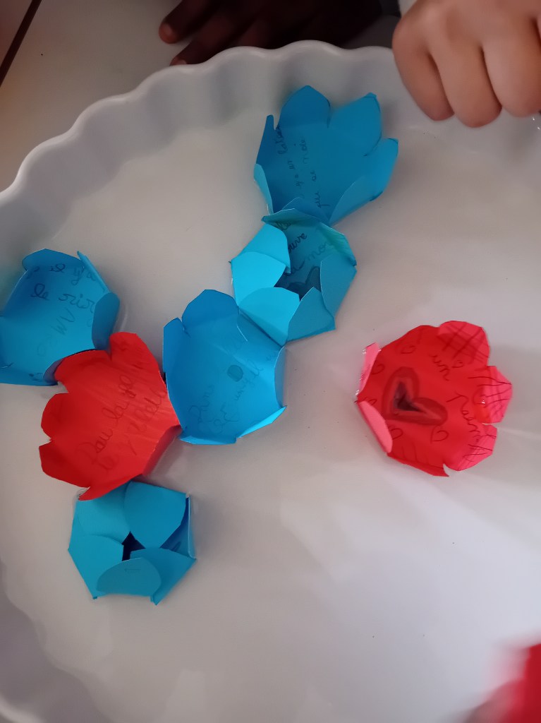 Les fleurs magiques s'ouvrent