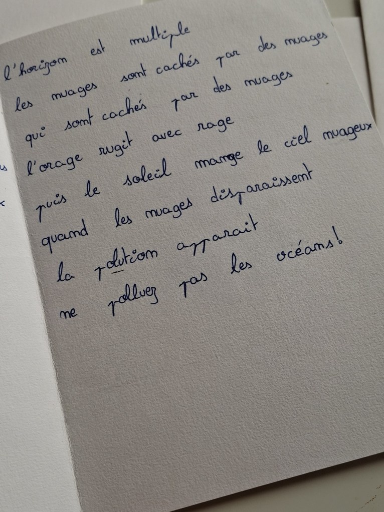 Ici l'horizon Clément Bollenot par la classe de 5e