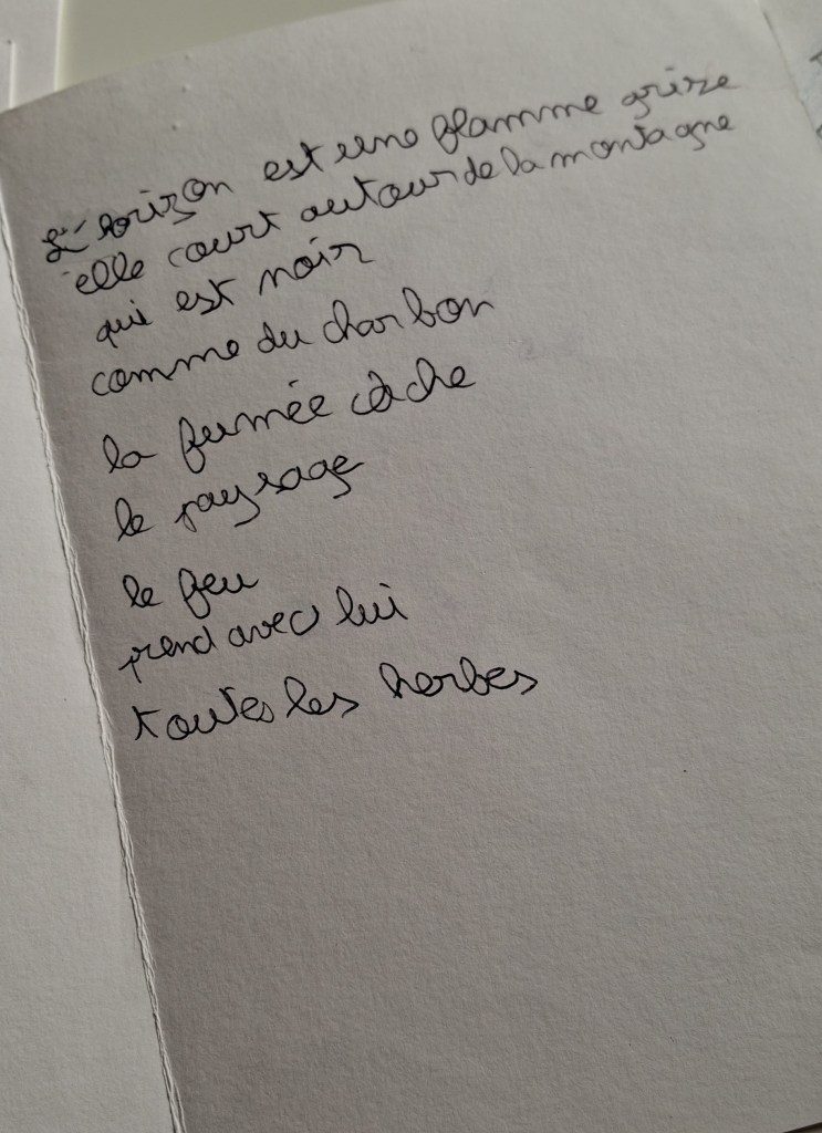 Ici l'horizon Clément Bollenot par la classe de 5e