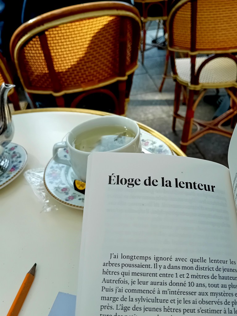 éloge de la lenteur